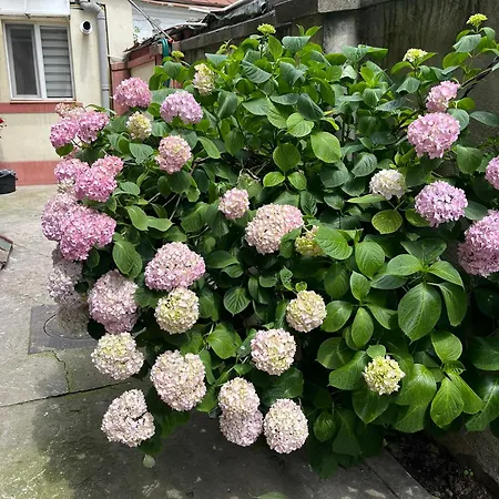 Cozy House In Elegant Cotroceni Area Bükreş